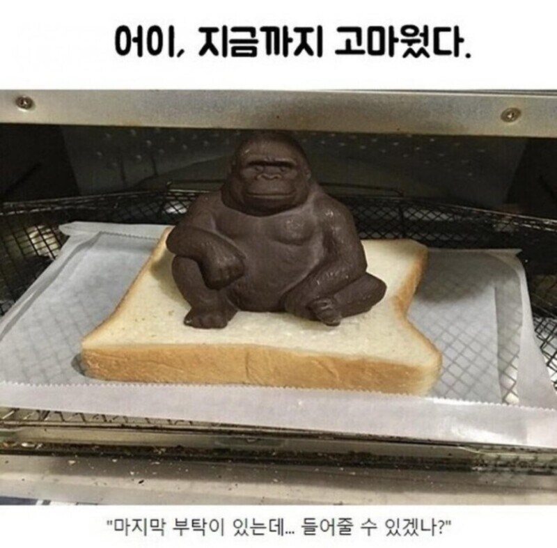 어이 지금까지 고마웠다 jpg_1.jpg