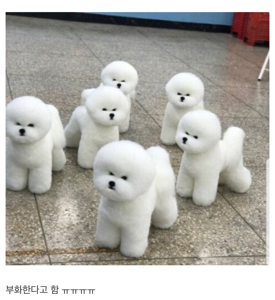 술빵 함부로 먹으면 안되는 이유.jpg_2.jpg