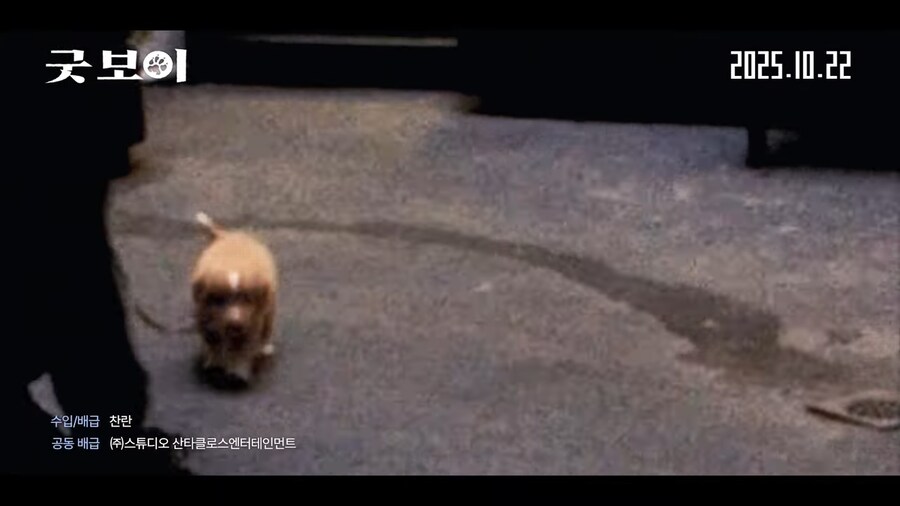 견주들은 가슴 아파서 보기 힘들다는 공포영화_1.png