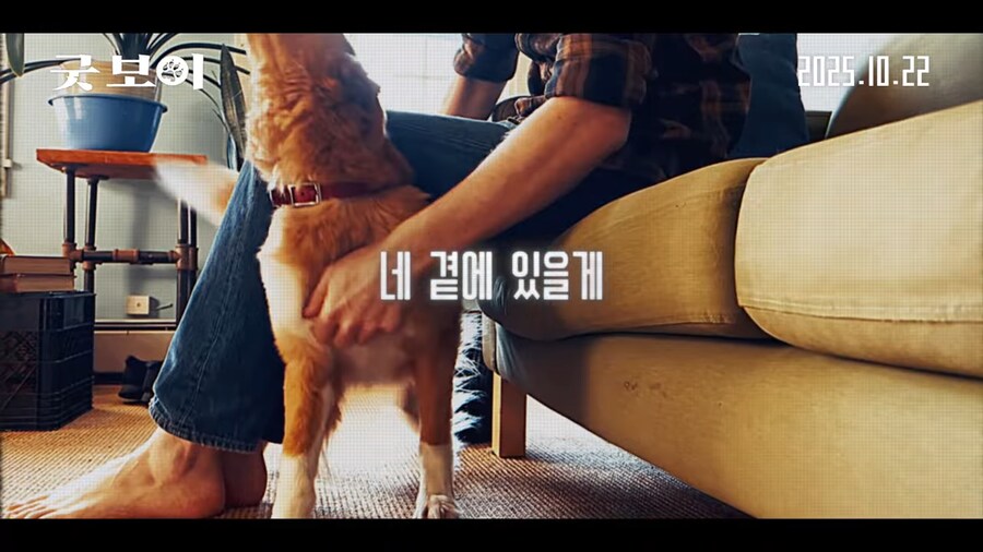 견주들은 가슴 아파서 보기 힘들다는 공포영화_3.png