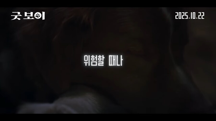 견주들은 가슴 아파서 보기 힘들다는 공포영화_5.png