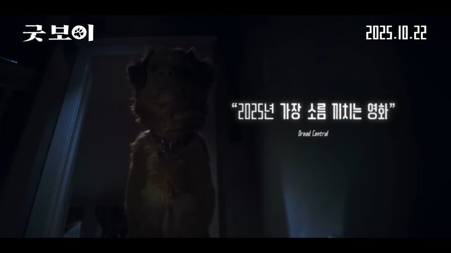 견주들은 가슴 아파서 보기 힘들다는 공포영화_7.png