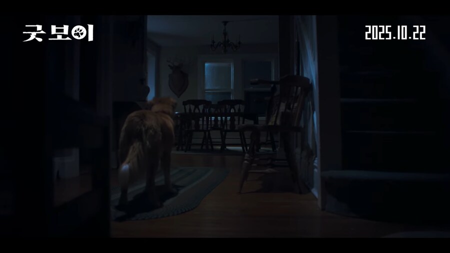 견주들은 가슴 아파서 보기 힘들다는 공포영화_8.png