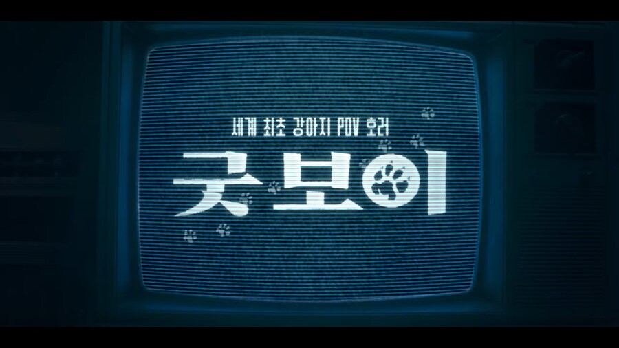 견주들은 가슴 아파서 보기 힘들다는 공포영화_10.png