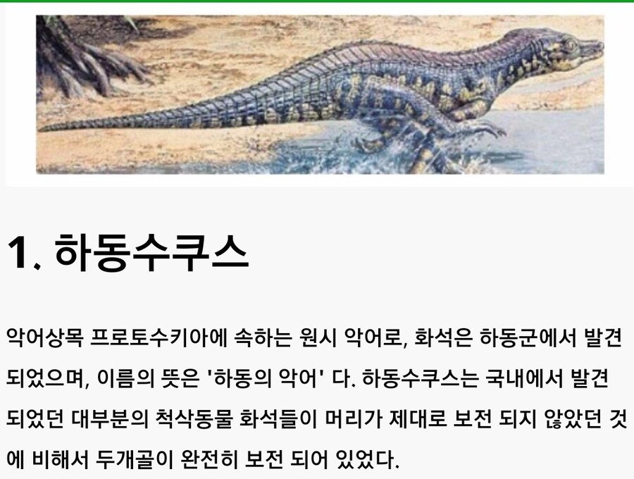 한국에 살았던 고대동물들.jpg_1.jpg