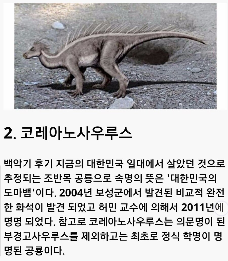 한국에 살았던 고대동물들.jpg_2.jpg