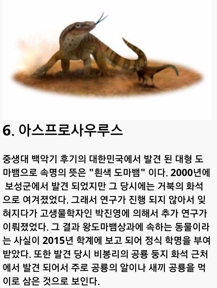 한국에 살았던 고대동물들.jpg_6.jpg