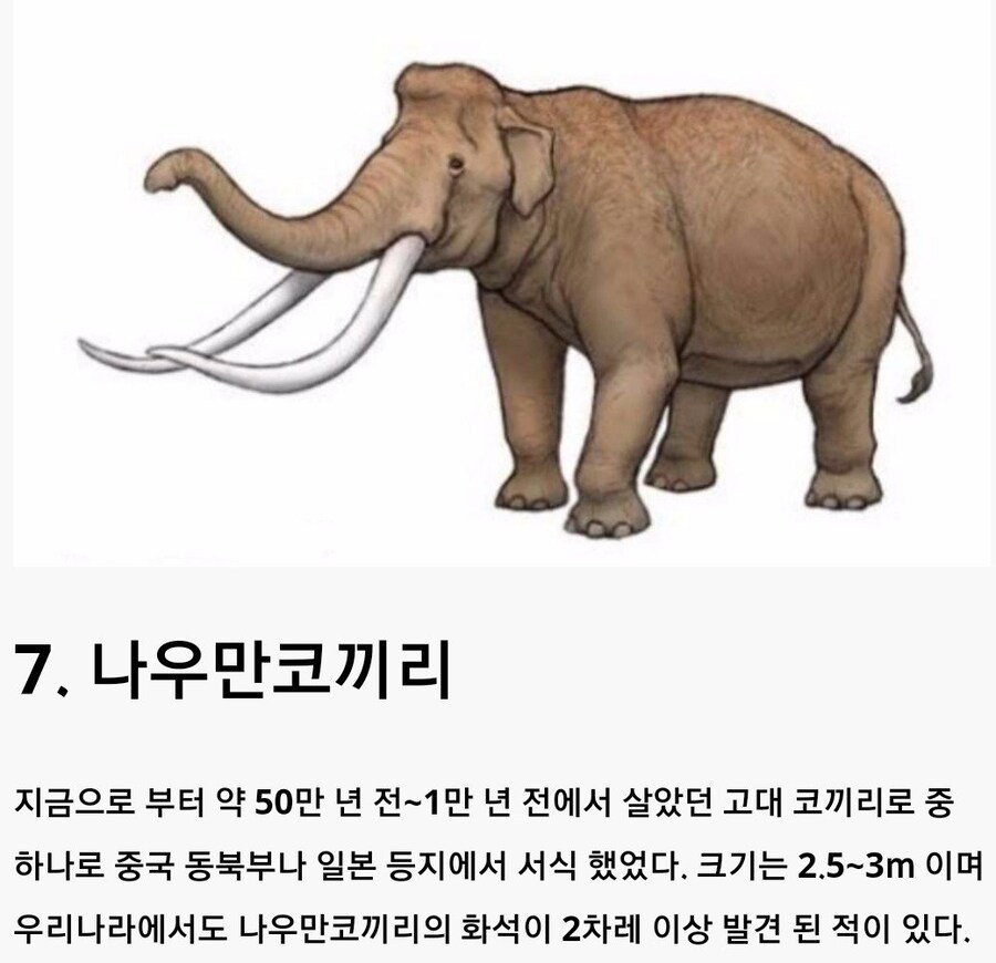 한국에 살았던 고대동물들.jpg_7.jpg