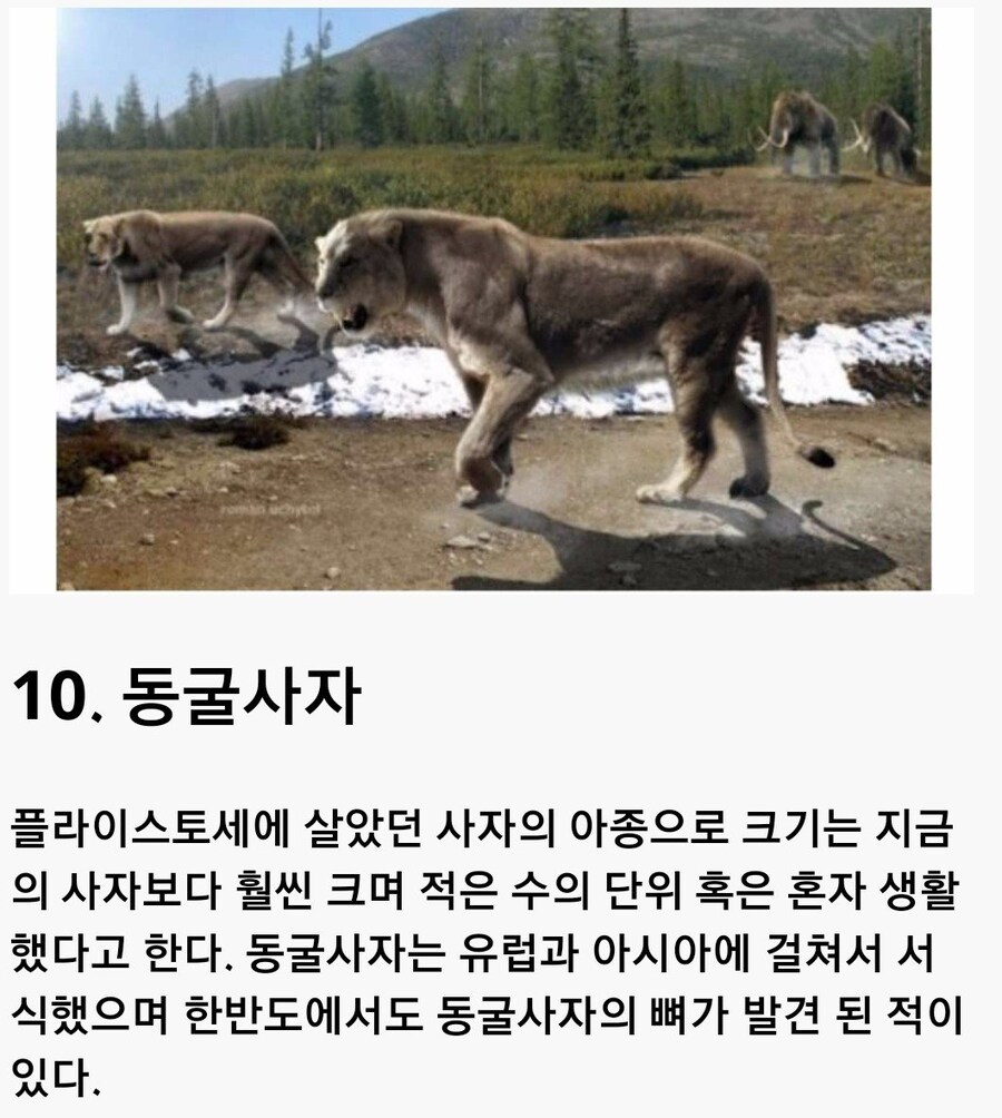 한국에 살았던 고대동물들.jpg_10.jpg