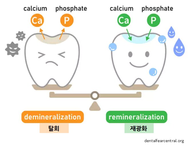 침이 치아에 하는 효과_2.png