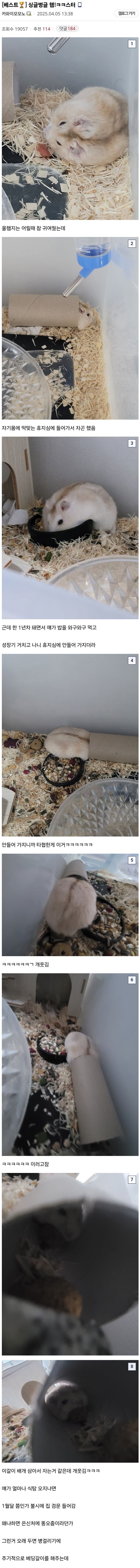 수명이 2~3년인 햄스터를 10년 동안 기른 사람.jpg_2.jpg