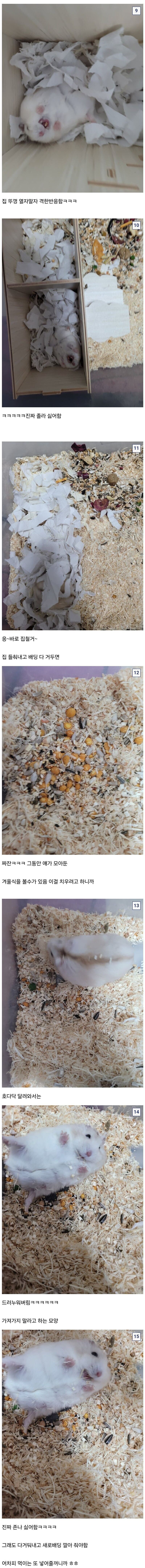 수명이 2~3년인 햄스터를 10년 동안 기른 사람.jpg_3.jpg