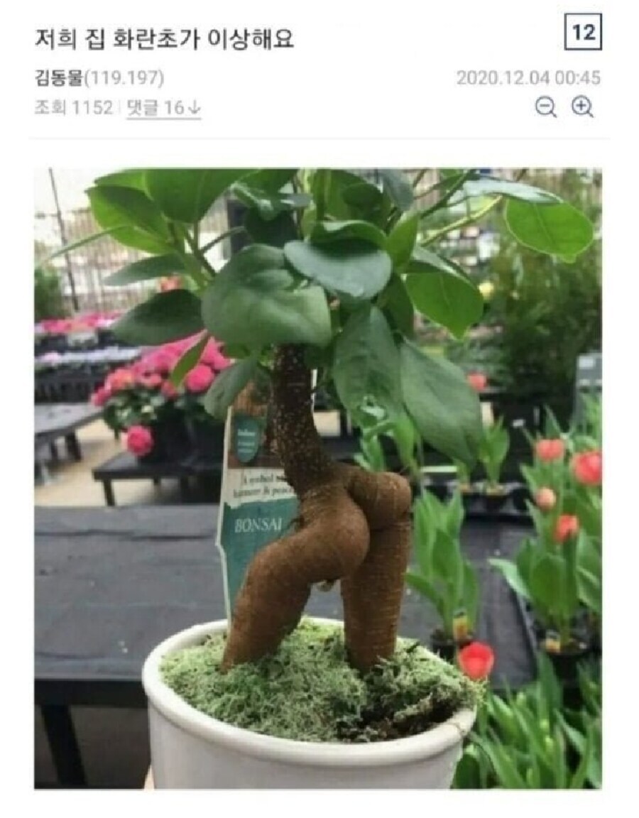 나쁜말 양파가 있다면_1.jpg