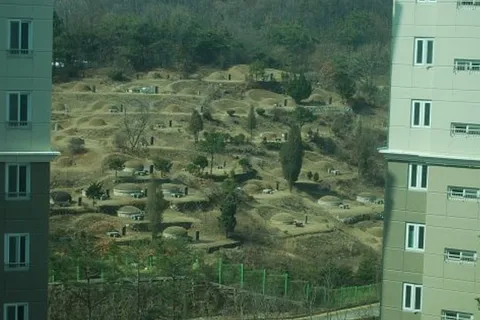 무덤뷰 거실 vs 집근처 우사_1.webp