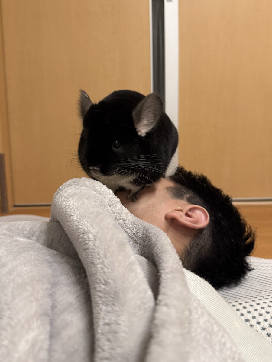 극혐)끔찍한 암살 현장.jpg_1.jpg