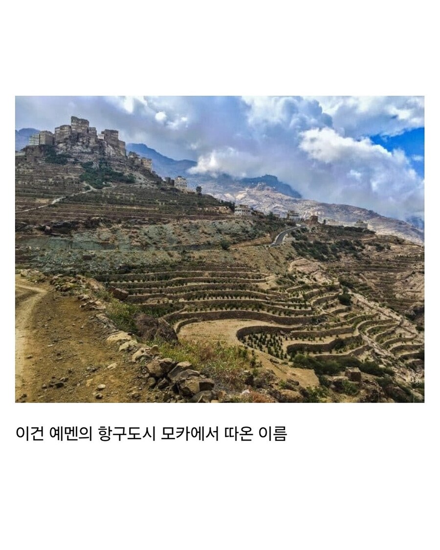 초콜릿 넣은 커피를
