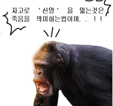 의외로 자신의 신념을 굽힐 줄 아는 동물.jpg_3.png