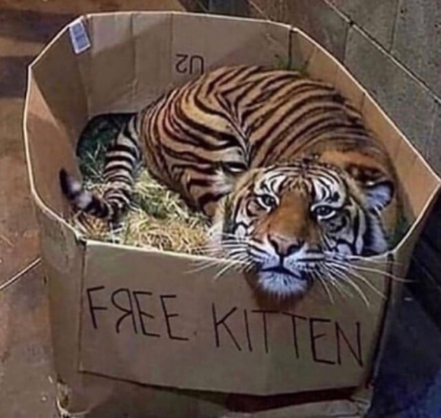 다들 길에서 줍지 말라고 하는 것_1.jpg