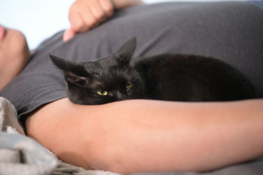 고양이를 키워야되는 이유_5.jpg