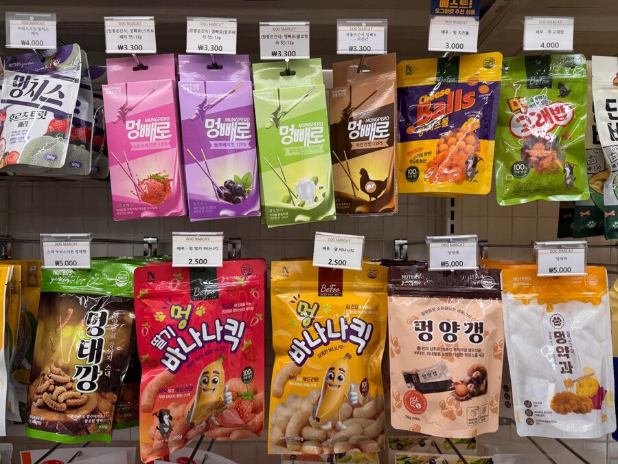 ??? : 넘 귀엽다 사람껀줄 알겠어!!_2.png