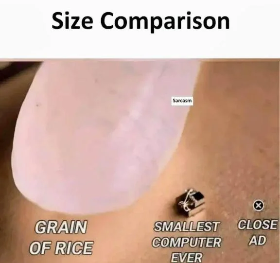 쌀알과 비교한 여러가지 물체들_1.webp