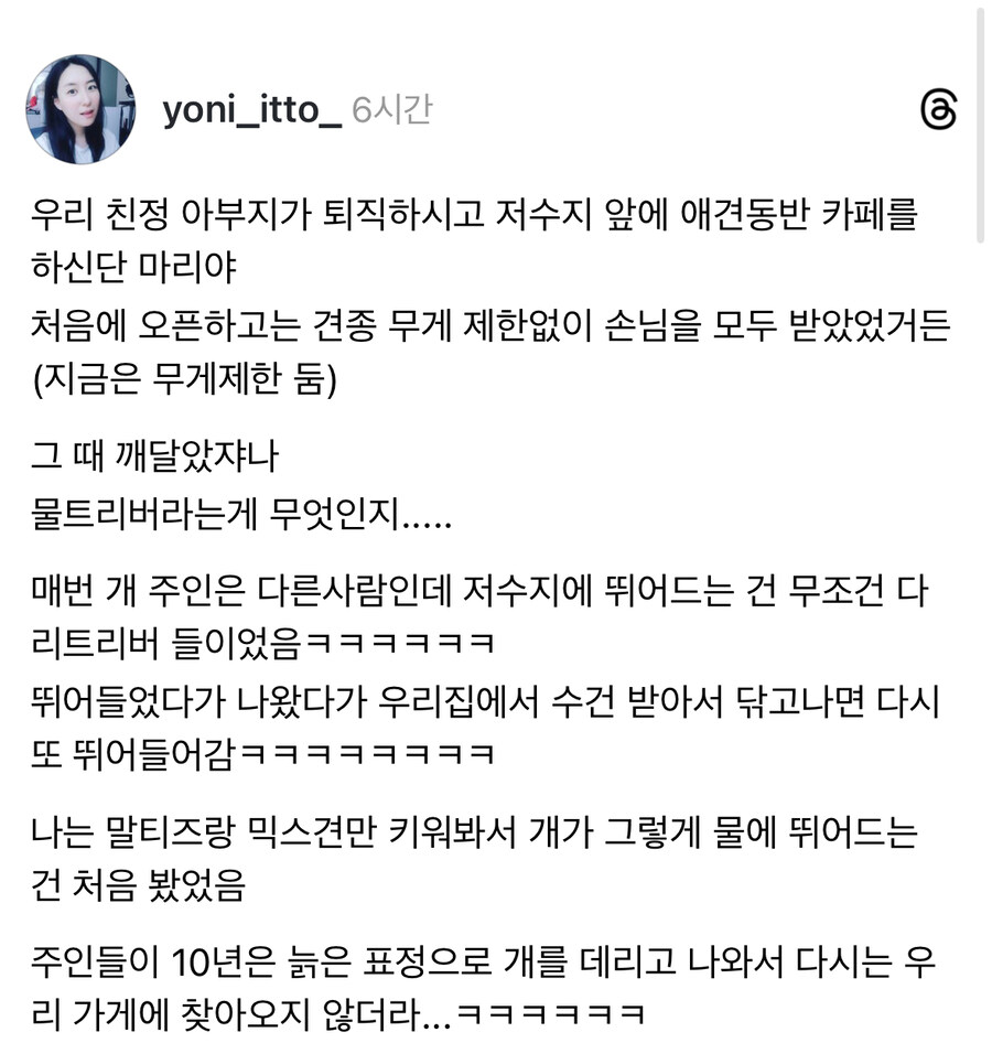 물을 너무 좋아하는 견종.jpg_1.jpg