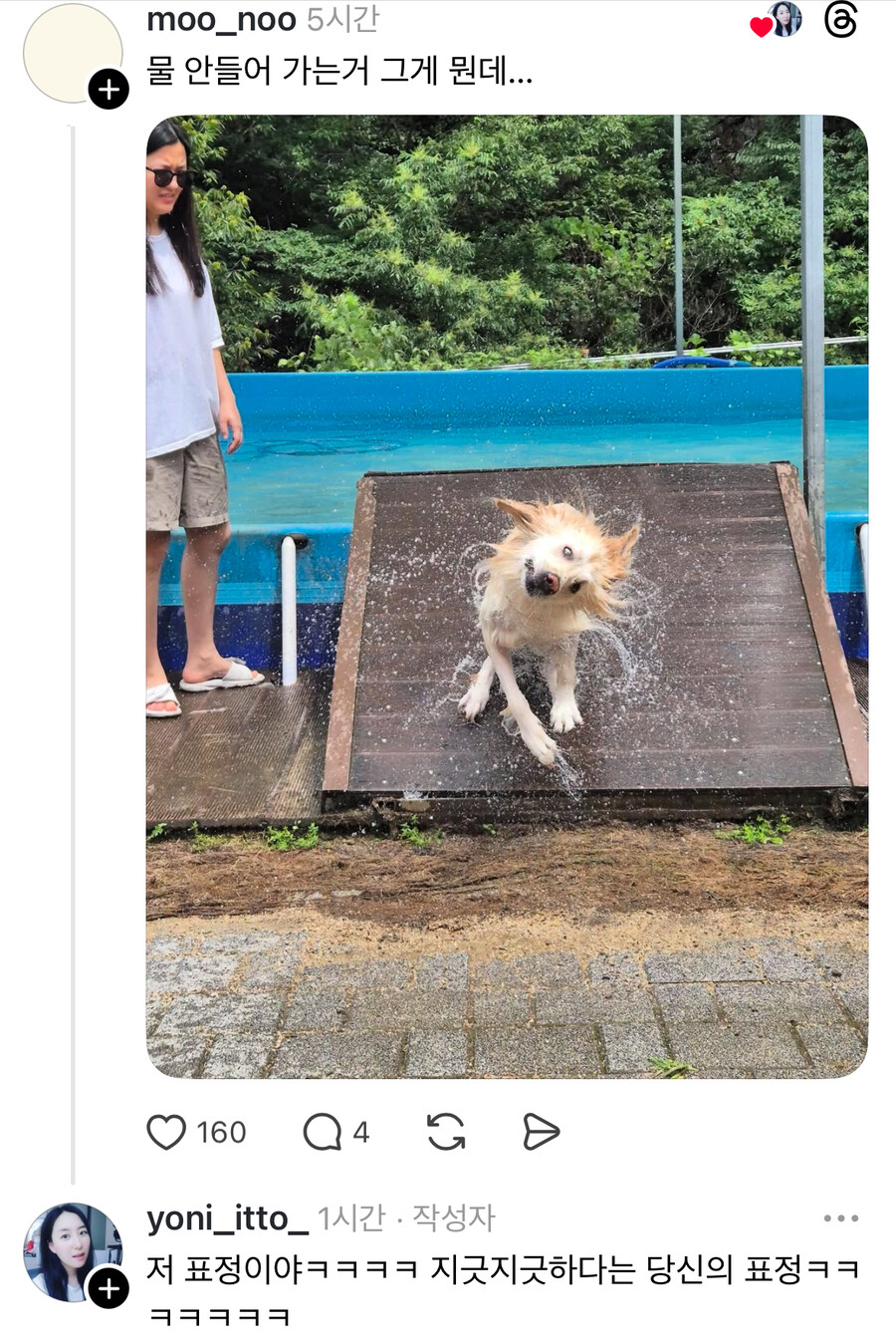 물을 너무 좋아하는 견종.jpg_2.jpg