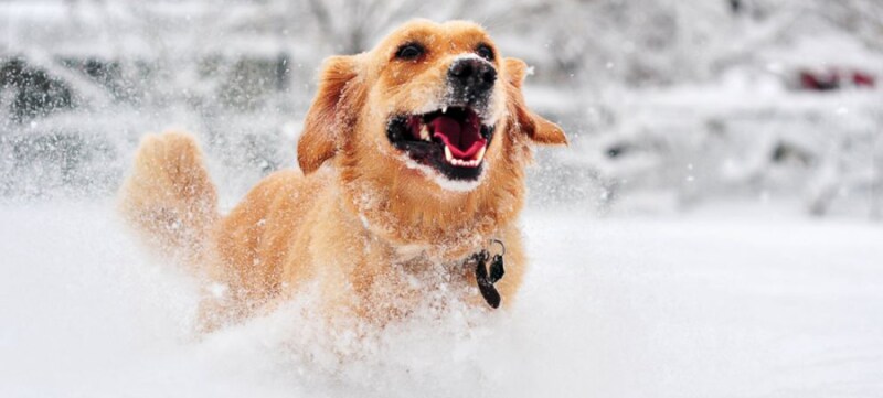 눈이 내릴 때 부산 사람들의 공통된 반응_1.png