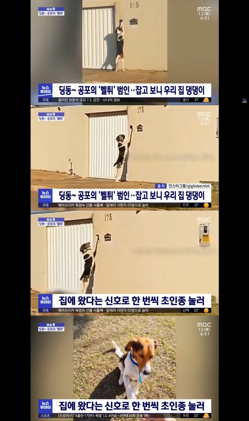 벨튀 범인, 드디어 검거.jpg_1.jpg