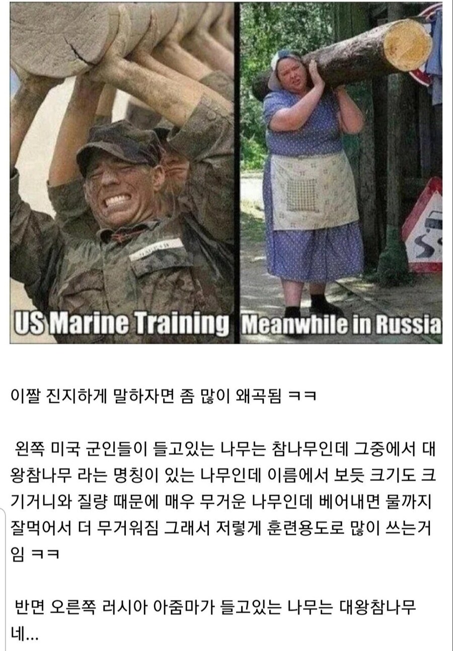 사람들이 잘못 알고 있는 통나무 드는 짤_1.jpg