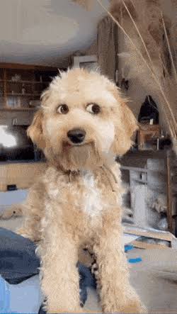 이 자동차 출시전 디자인 여론 안좋았는데 !!!_2.jpeg