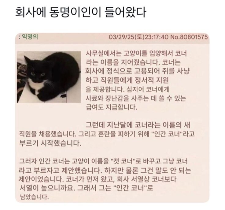 회사에 동명이인이 들어왔다.jpg_1.jpg