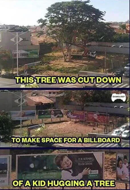 자연보호 한답시고 나무 자르기_1.jpg