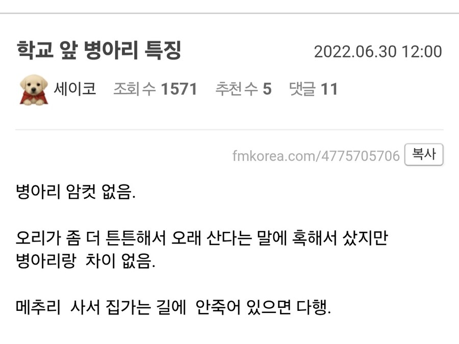 예전 초등학교 앞에서 팔던 동물.jpg_1.jpg