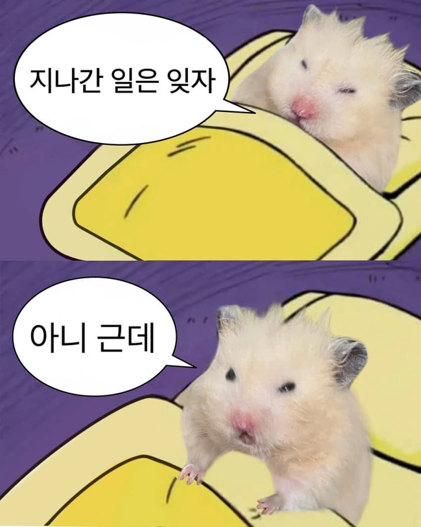 지나간 일은 잊자_1.jpg