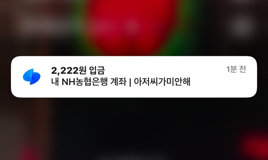 이게 그 파파카츠냐?.jpg_1.jpg