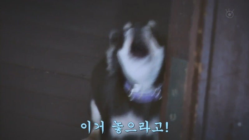 3년동안 깨가 쏟아지던 꽹과리 부부의 정체_14.jpg