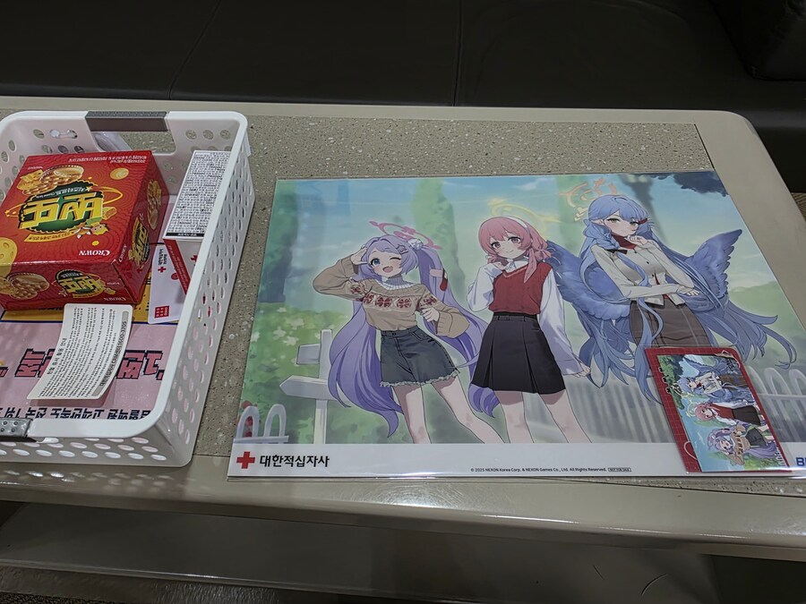 이 몸, 우수한 피주머니_3.jpg