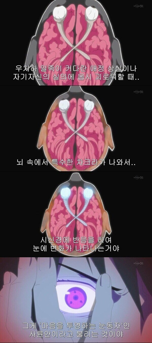 나루토) 우치하 뚜따 의혹이 있는 비열님_1.jpg