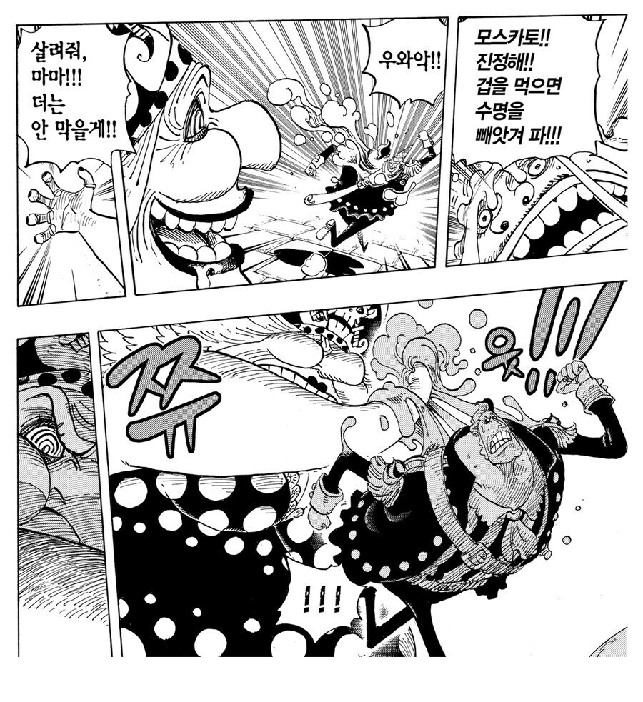 원피스에서 가장 잘만든거 같은 열매_6.jpg