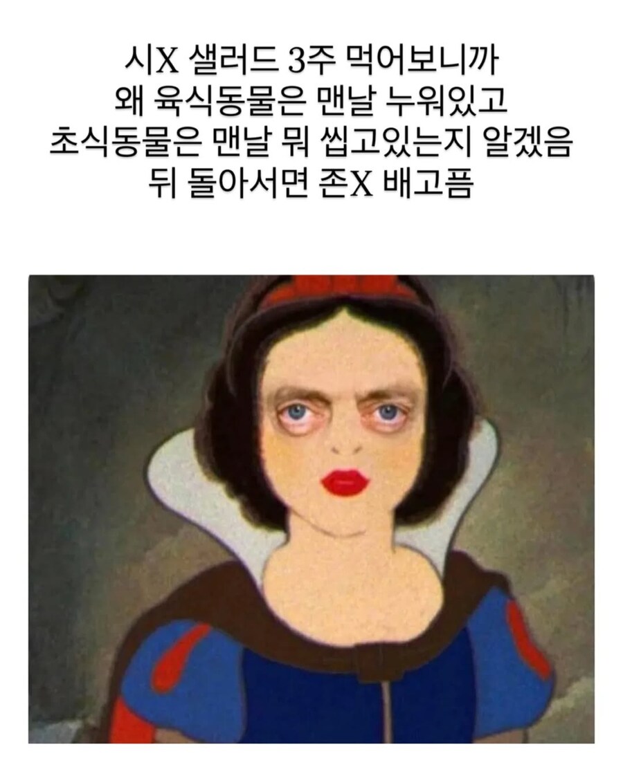 샐러드 3주 먹고 깨닫게 된 사실.jpg_1.jpg