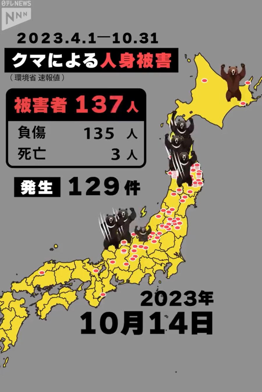 일본 곰 피해 의외의 사실_1.jpg