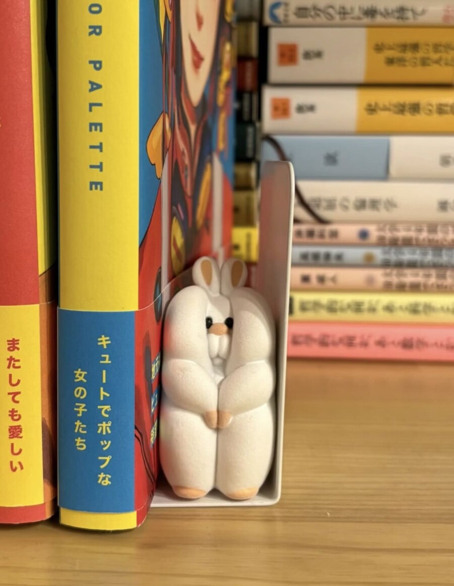 책꽂이 남은자리에 쓸 수 있는 귀여운 굿즈.jpg_2.jpg