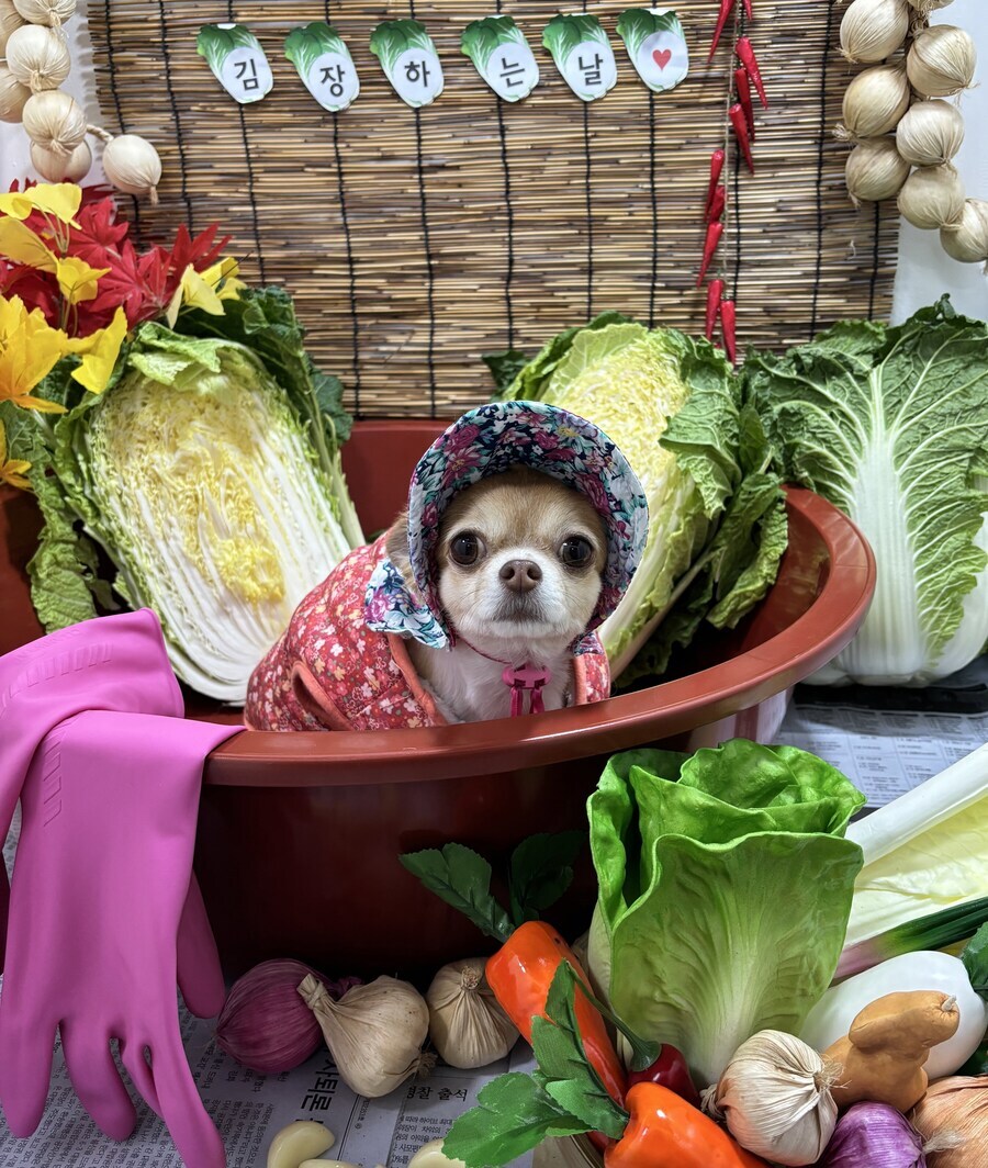 유서깊은 종갓집의 김장 맛 비결. jpg_1.png