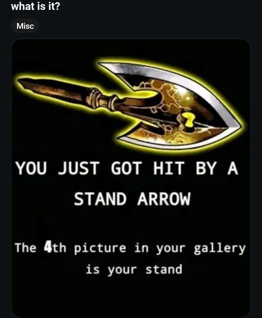 당신은 스탠드 구현 화살에 맞았습니다_1.jpg