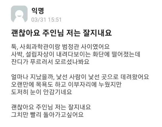 주인 잃은 양의 최후.jpg_1.jpg