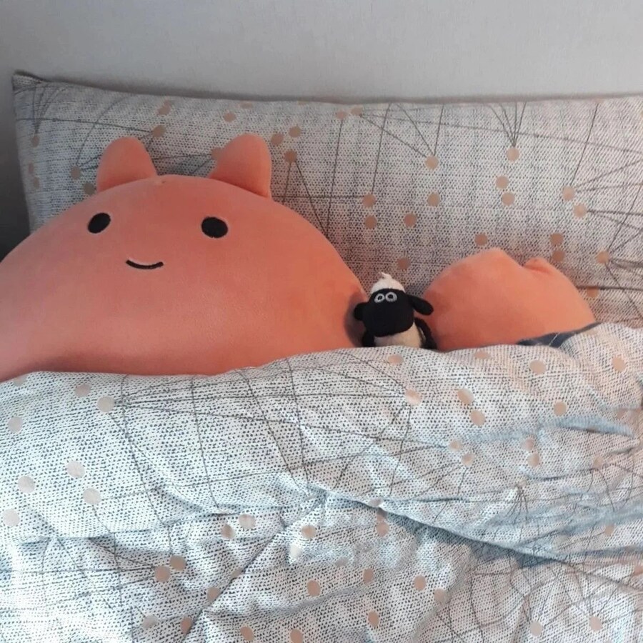 주인 잃은 양의 최후.jpg_3.jpg