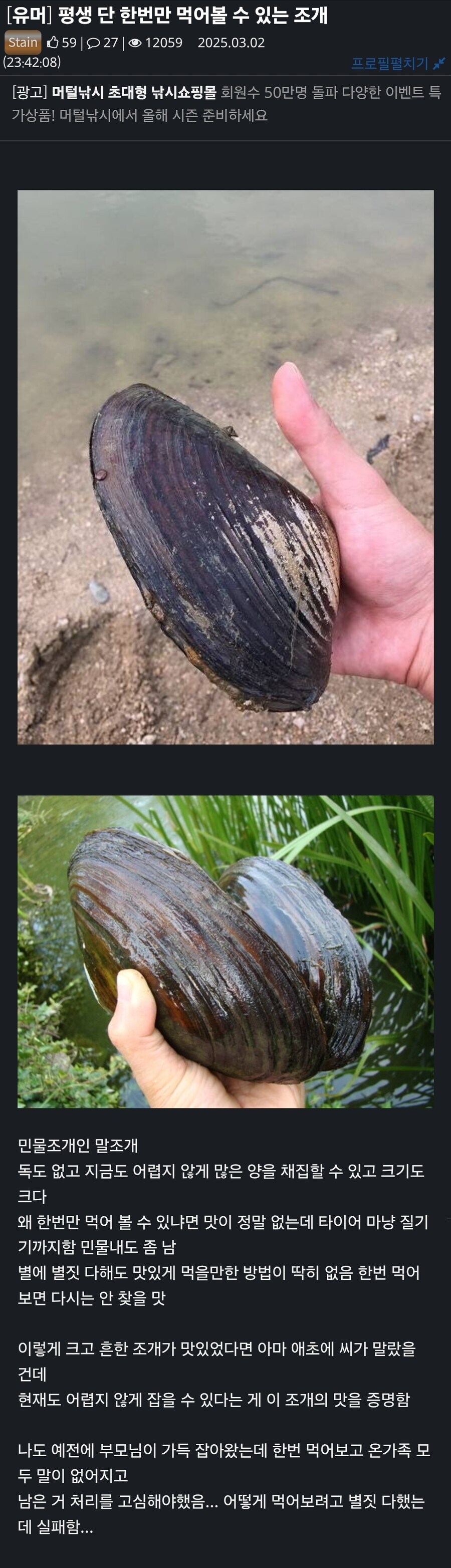 평생 단 한번만 먹어볼 수 있는 조개.jpg_1.jpg