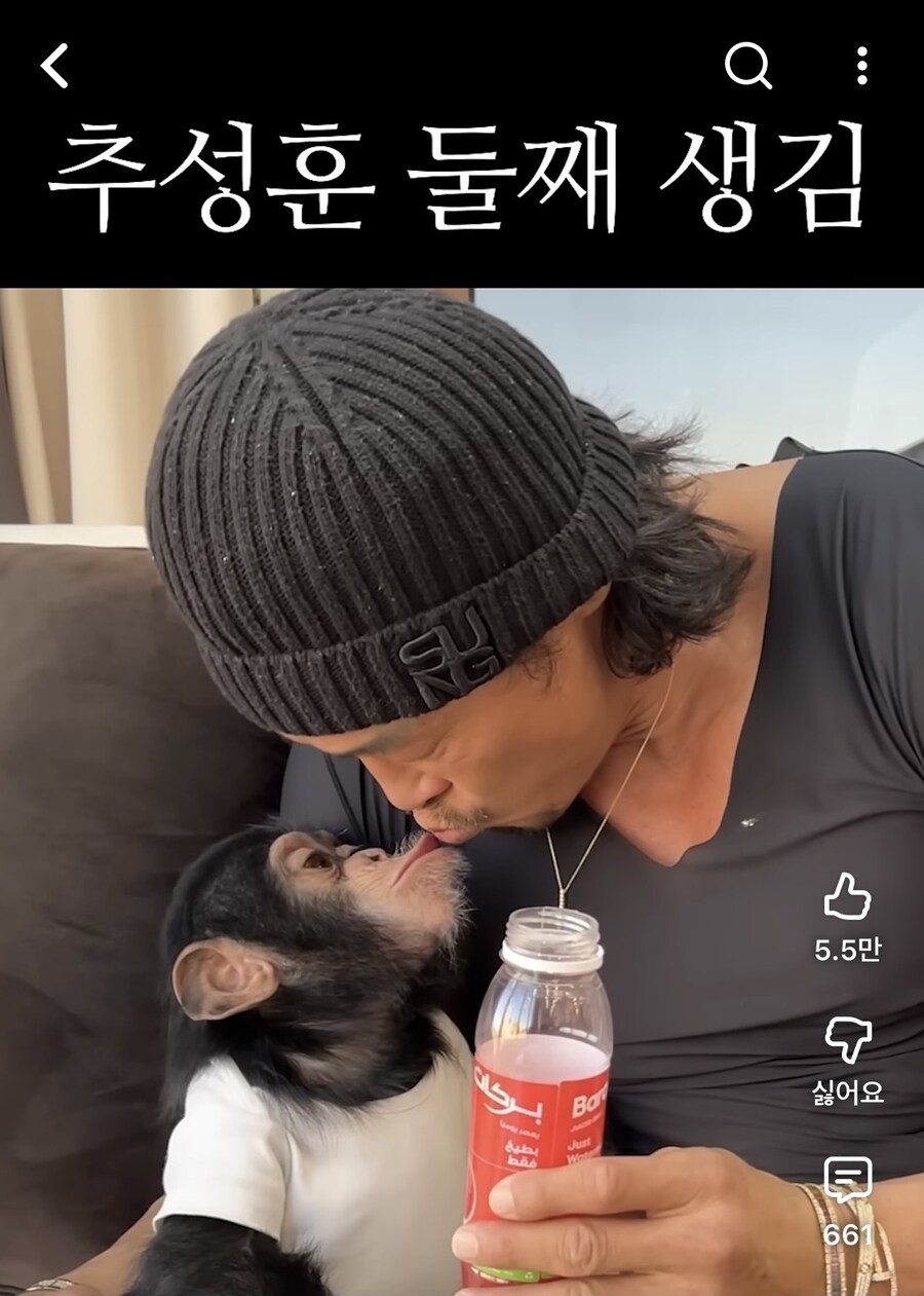 추성훈 둘째(?) 생김_1.jpg