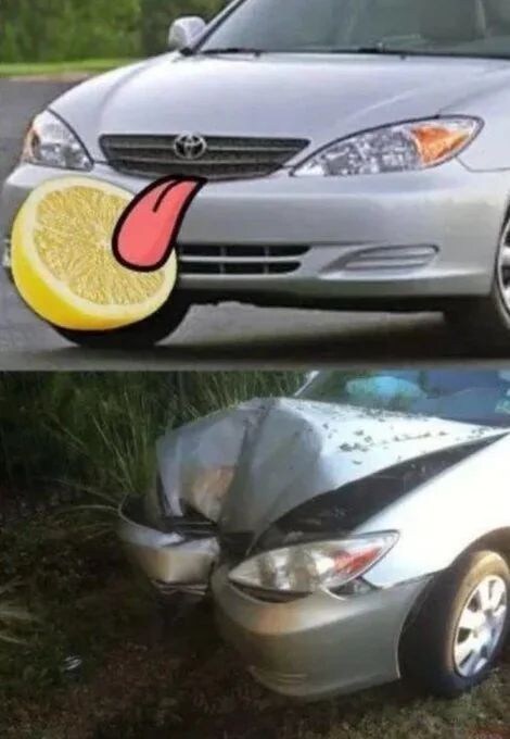 레몬을 맛본 차량의 최후.jpg_1.jpg